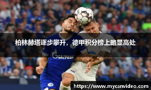 门徒娱乐登录
